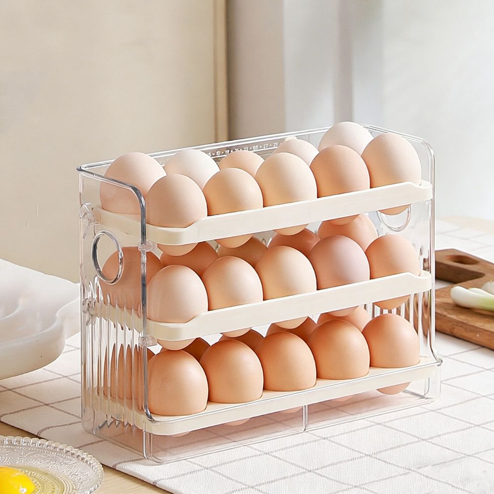 실용적인 플라스틱 계란 보관 상자 공간 절약 대용량 대 - Food Storage Practices 리뷰 및 가격