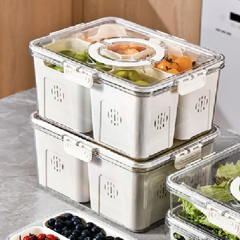 대형 피크닉 냉장고 음식 보관용 과일 트레이, 주방용  - Food Storage Refrigerator 리뷰 및 가격