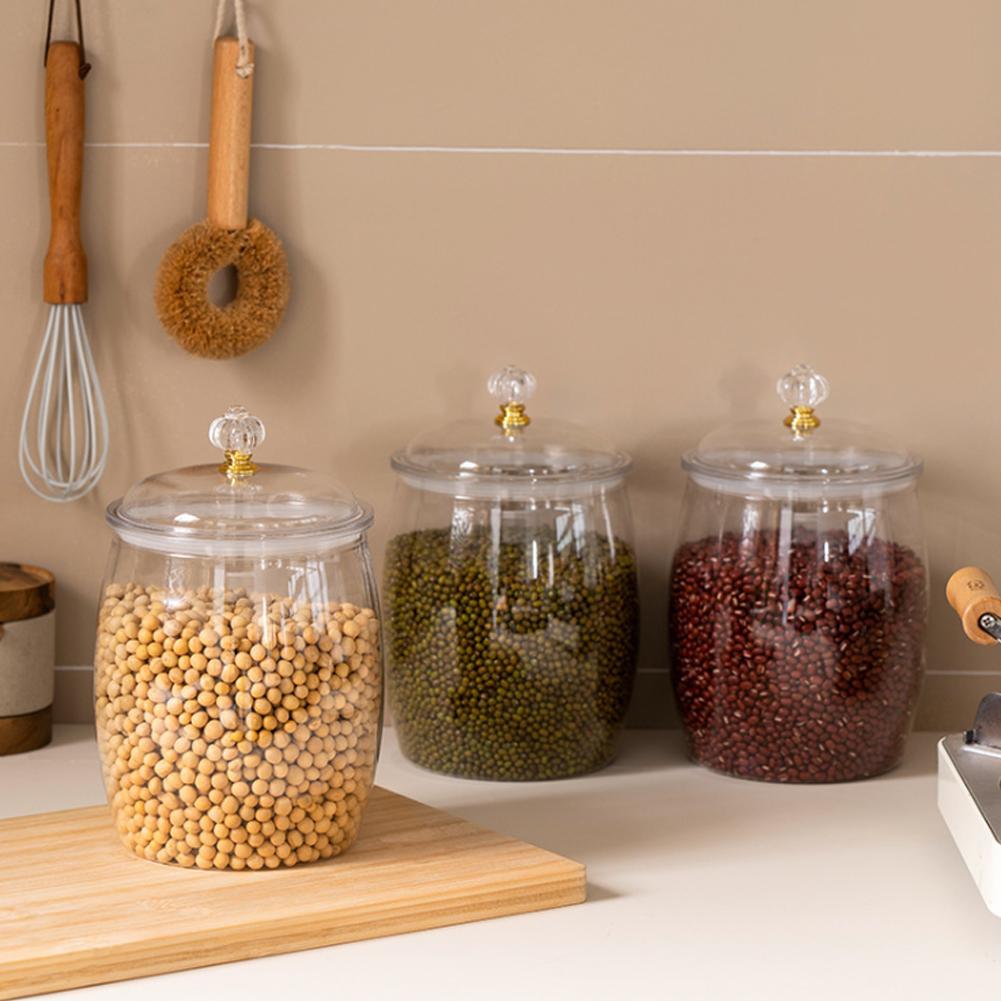 대형 투명 플라스틱 밀폐 용기, 쿠키, 사탕, 스낵,  - Food Storage With Lids 리뷰 및 가격