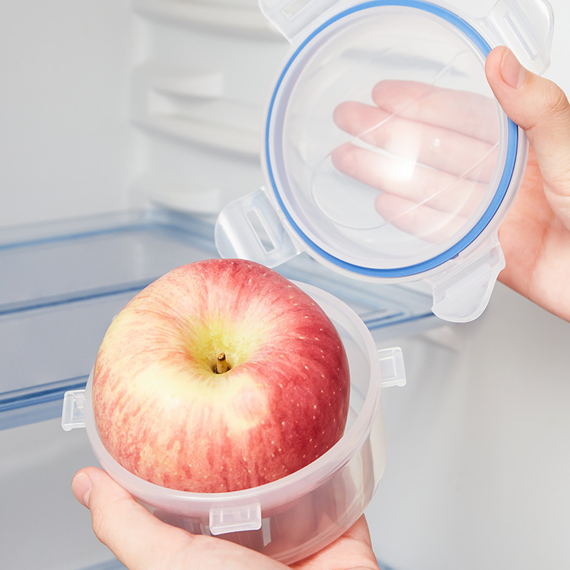 미니 사과 모양의 휴대용 음식 보관 용기, 손잡이가 있 - Food Storage Practices 리뷰 및 가격